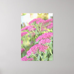Roze Bloem Canvas met Fuchsiakleurige Bloemen Afdruk