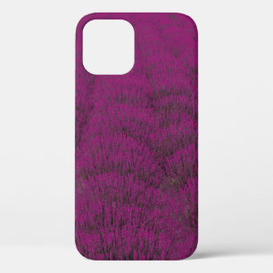 Roze bloem iPhone 12 hoesje