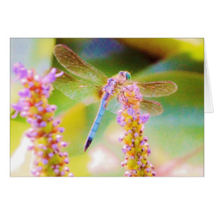 roze bloem en drakenvlieg