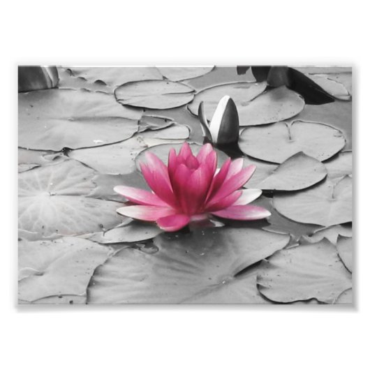Roze bloem foto afdruk (Voorkant)