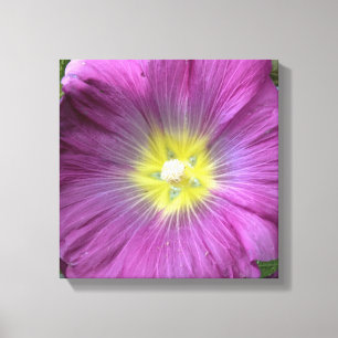 Roze Bloem Foto Enige Reproductie Canvas Afdruk