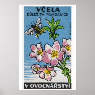 Roze Bloem Gele Bij - Matchbox Print - Tsjechisch