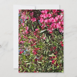Roze bloem kaart