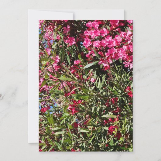 Roze bloem kaart (Voorkant)