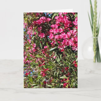 Roze bloem kaart