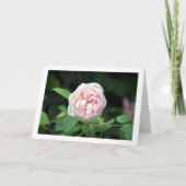 Roze Bloem Roos Kaart (Voorkant)