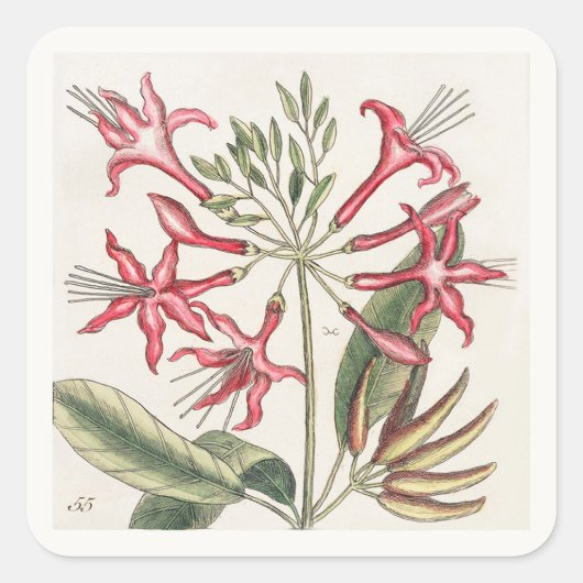 Roze bloem sticker vel (Voorkant)