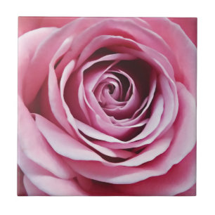 Roze bloem, waterverf roos details tegeltje