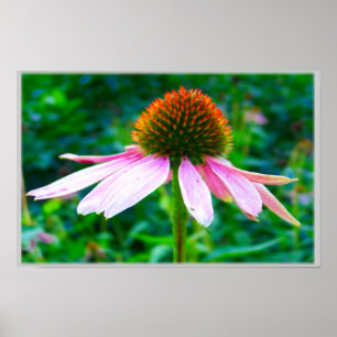Roze Bloemblaadjes Poster