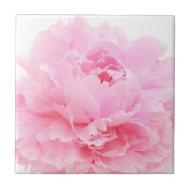 roze bloemblaadjes