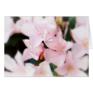 Roze bloemen