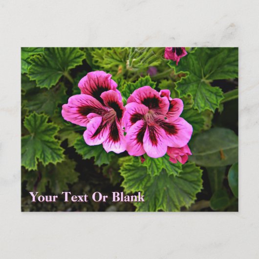 Roze bloemen 1 briefkaart (Voorkant)