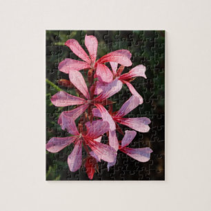 Roze Bloemen 8x10 Foto Puzzel met Cadeau Doos