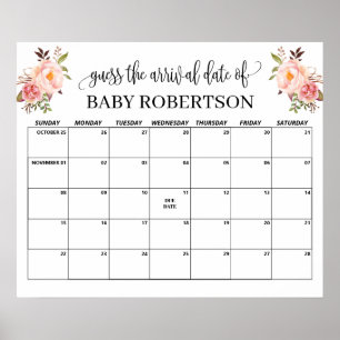 Roze bloemen Baby Shower Raad Verwachte Datum Kale Poster