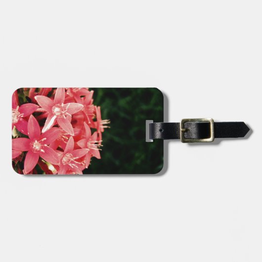 Roze bloemen bagagelabel (Voorkant horizontaal)