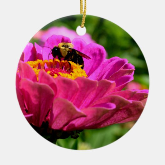 Roze bloemen bloem Roze Zinnia met hommel Keramisch Ornament (Voorkant)