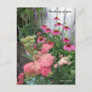 Roze bloemen briefkaart