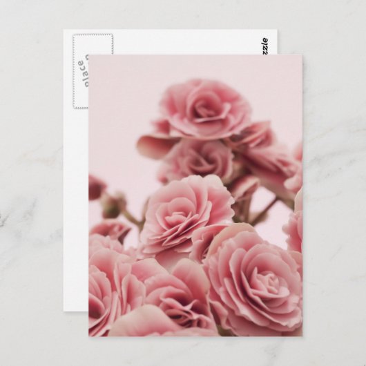 roze bloemen briefkaart (Voorkant / Achterkant)