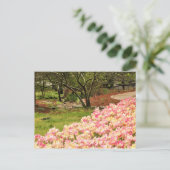 Roze bloemen briefkaart (Staand voorkant)