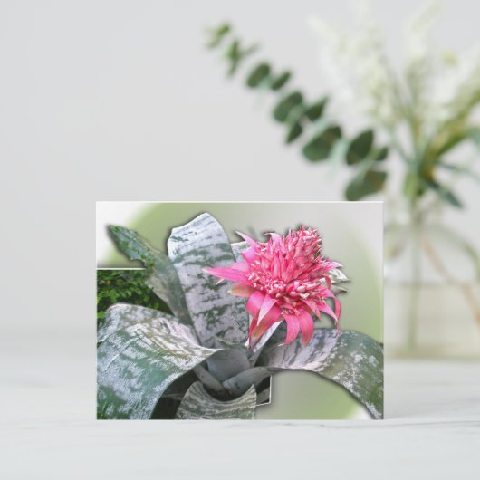 Roze bloemen Bromeliad Briefkaart (Staand voorkant)