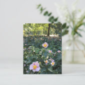 roze bloemen Central Park NYC Spring Foto Briefkaart (Staand voorkant)