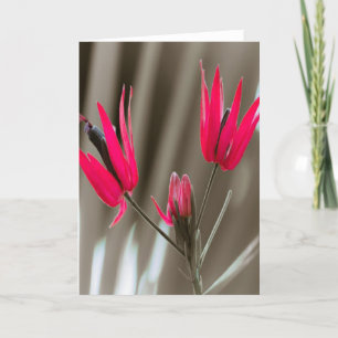 Roze bloemen feestdagen kaart