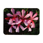 Roze Bloemen Foto Magneet (Horizontaal)