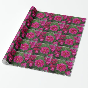 Roze Bloemen Fotografie Inpakpapier