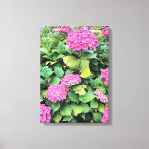 Roze Bloemen Hydrangea Enkele Print