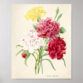 Roze Bloemen Illustratie voor Artsy Poster