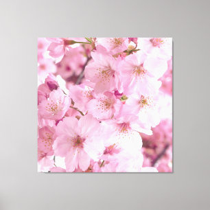 Roze Bloemen Japanse Kersenbloesems Bloemen Canvas Afdruk