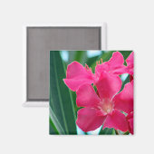 Roze bloemen magneet (Voorkant / Achterkant)