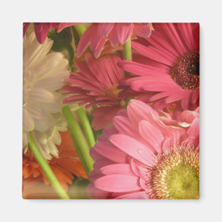 Roze bloemen magneet