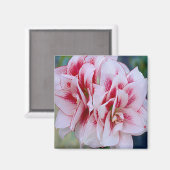 Roze bloemen Magnet Magneet (Voorkant / Achterkant)