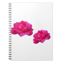 Roze bloemen met een lieflijk dubbel roos