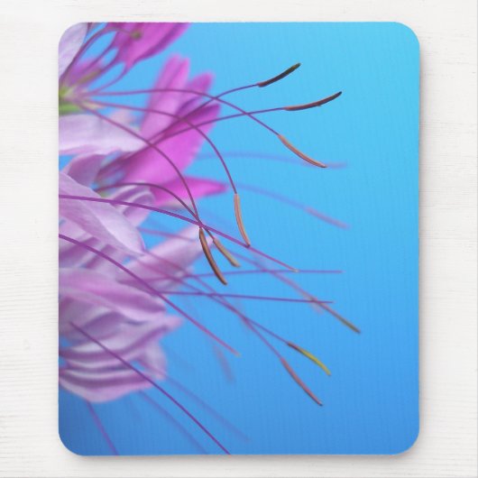 Roze bloemen muismat (Voorkant)