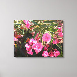 Roze bloemen op de boom canvas afdruk