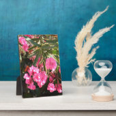 Roze bloemen op de boom fotoplaat (Zijkant)