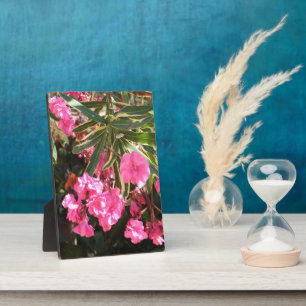 Roze bloemen op de boom fotoplaat
