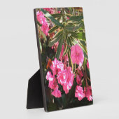 Roze bloemen op de boom fotoplaat (Zijkant)