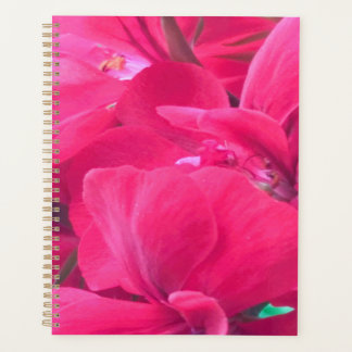 Roze bloemen Planner