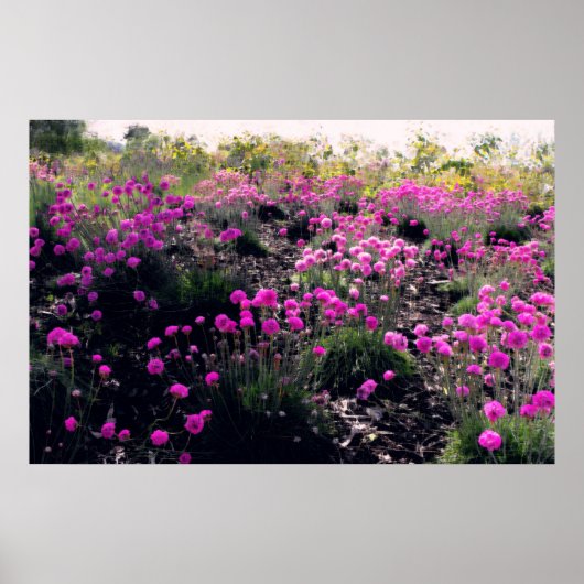 Roze bloemen poster (Voorkant)