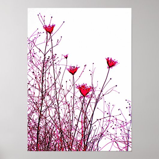 roze bloemen poster (Voorkant)