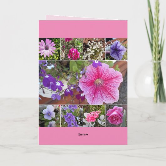 Roze bloemen Roos Petunia Daisy Birthday Ca Kaart (Achterkant)