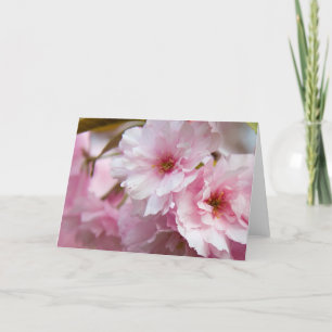 Roze Bloemen Sakura Kaart