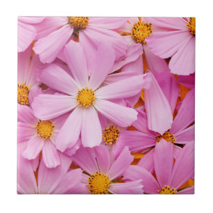 Roze Bloemen Tegeltje