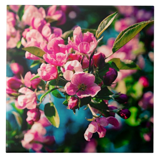 Roze Bloemen van de Krabappel Tegeltje (Voorkant)