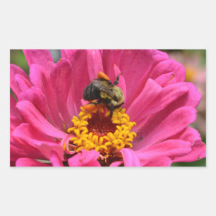  roze bloemenroze Zinnia Bumble bee Rechthoekige Sticker