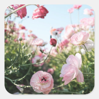 Roze bloementuin sticker