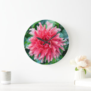 Roze Bloemfotografie, Canadese Dahlia Grote Klok